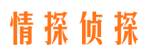 禅城市婚外情调查